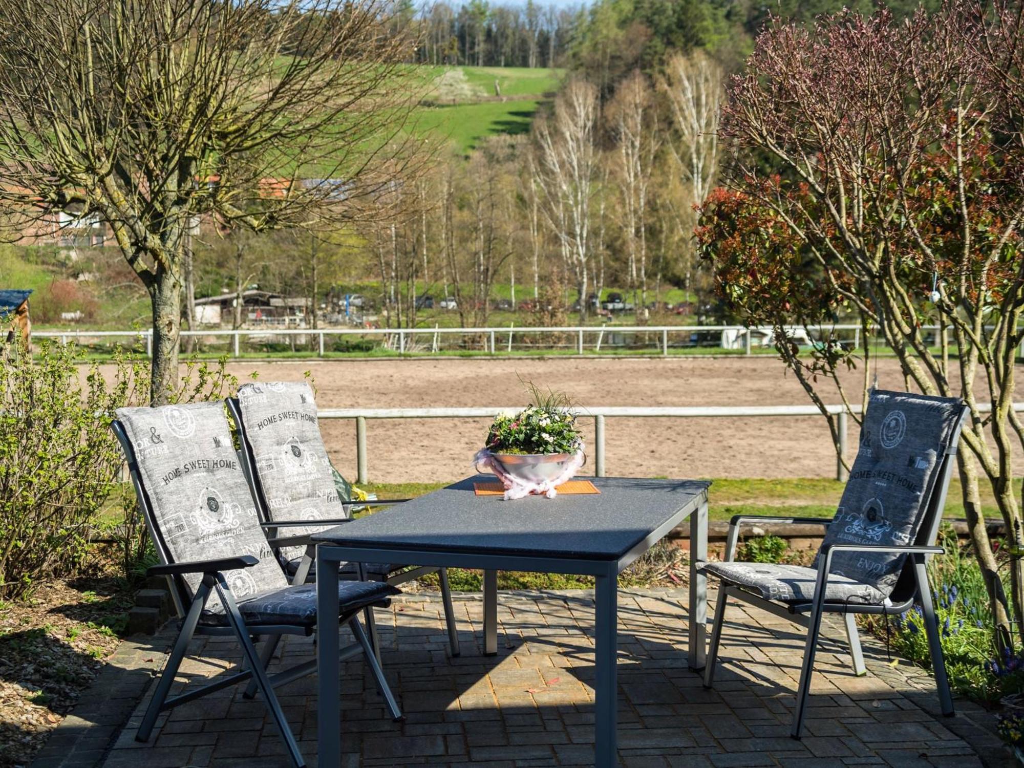 Apartment In The Odenwald With Terrace Mossautal Esterno foto