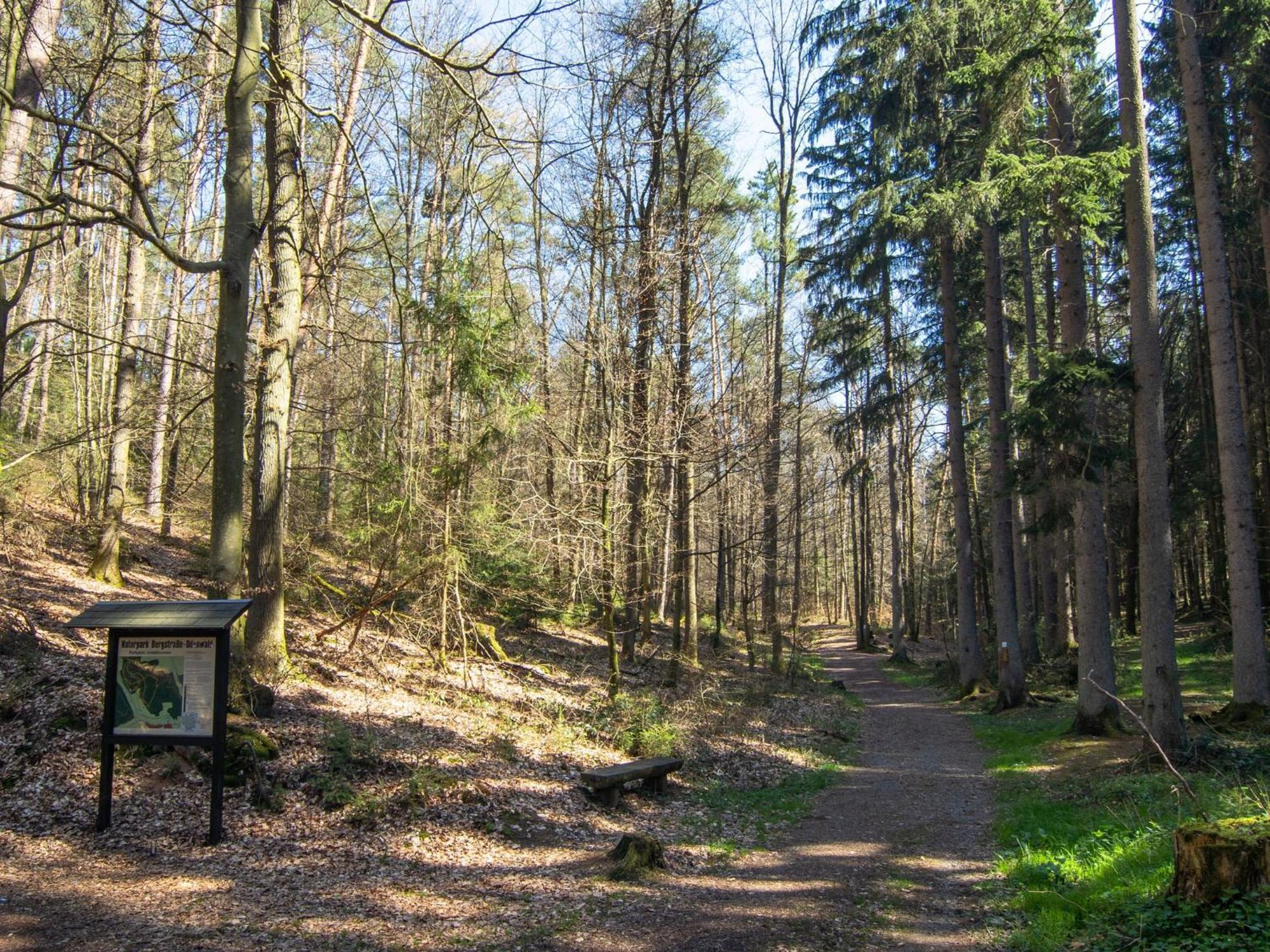 Apartment In The Odenwald With Terrace Mossautal Esterno foto